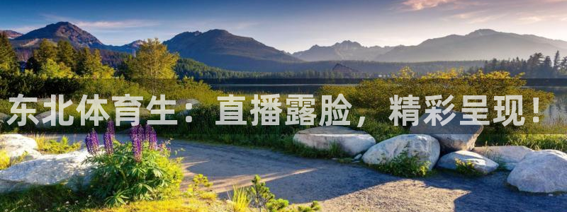 东北体育生：直播露脸，精彩呈现！