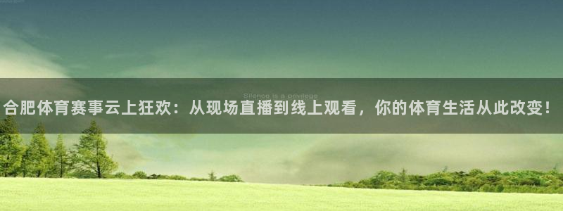 合肥体育赛事云上狂欢：从现场直播到线上观看，你的体育生活从此改变！